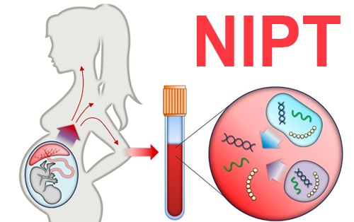 PHÒNG XÉT NGHIỆM TÂM ĐỨC LAB